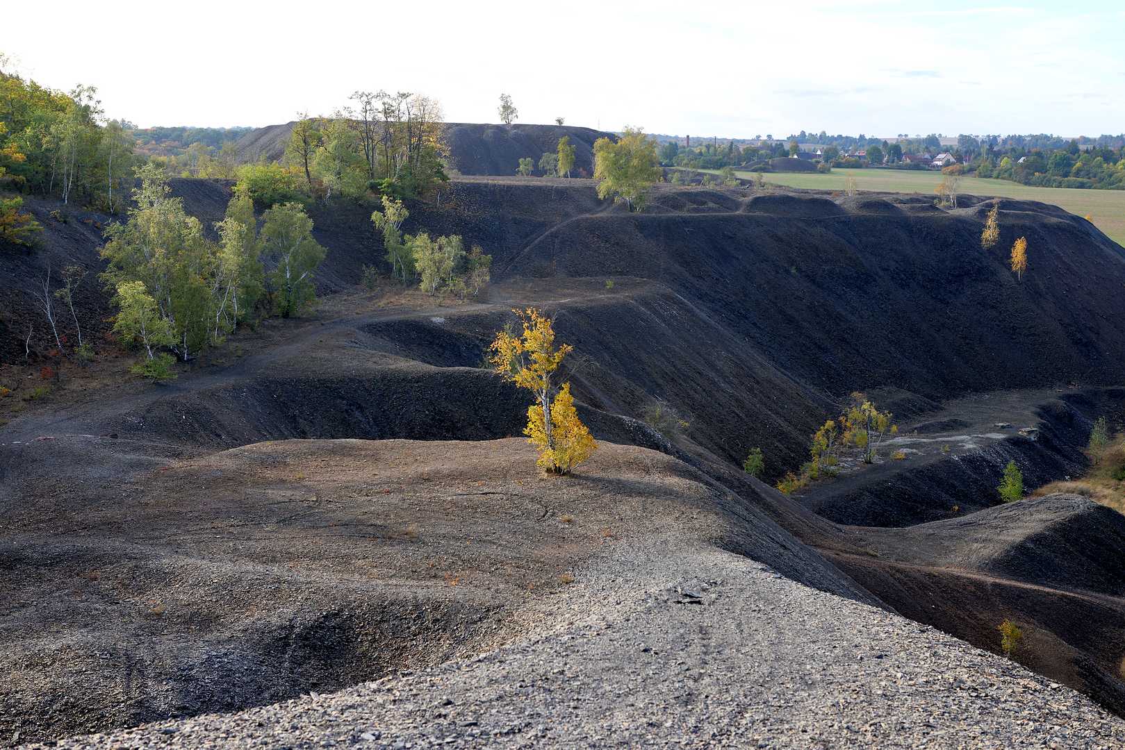 Im Kupferschieferrevier (Foto: BBFL) Grafik